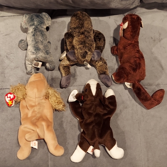TY TOYS RETIRED BEANIE BABY BUNDLE OF 5 BRUNO SPUNKY SLOWPOKE EUCALYPTUS RUNNER - Picture 9 of 10